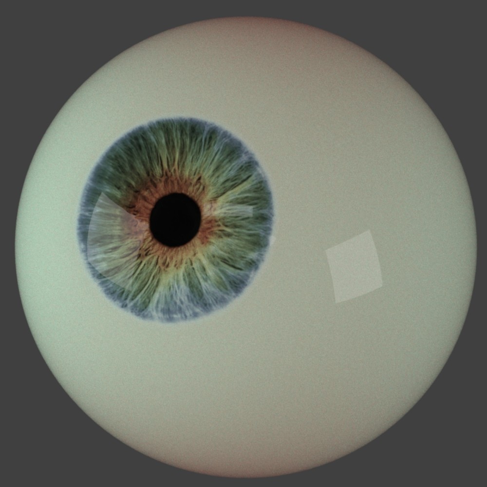 Eyeball reference preview image 1